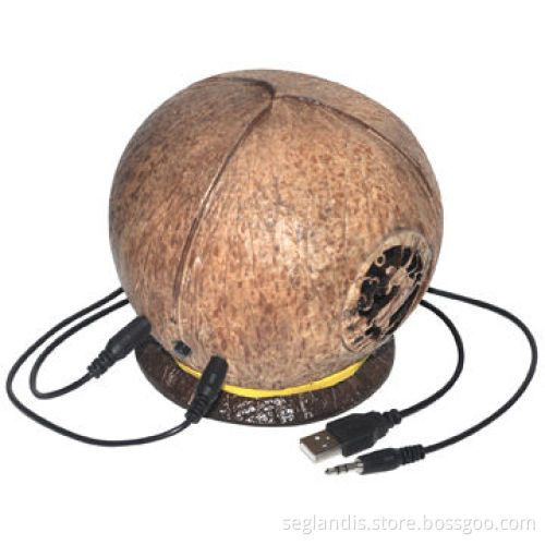 Bluetooth Speaker, Made of Coconut Shell, Compatible with All Audio Systems, Bluetooth Device